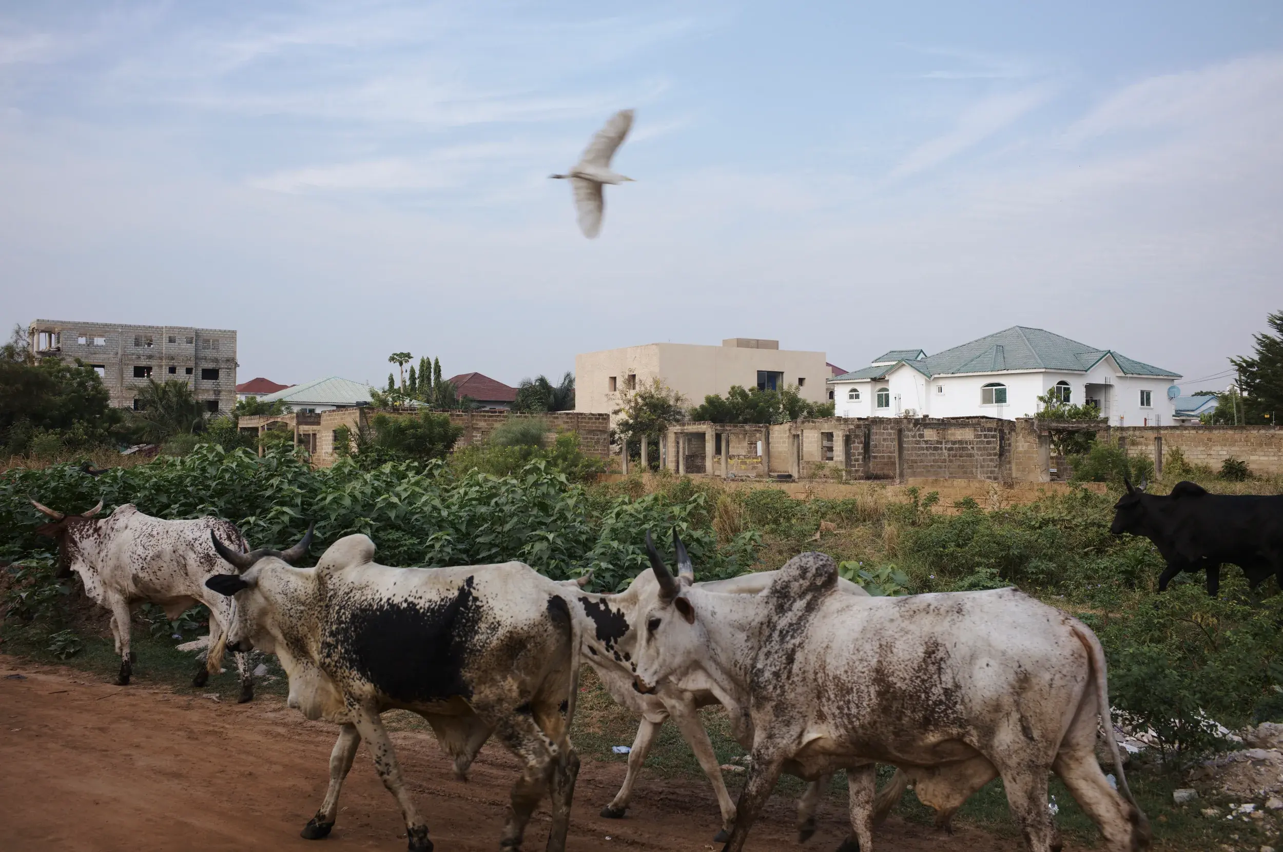 Courtyard view at dot.ateliers | Ogbojo in Accra, Ghana, by DeRoché Projects and TAELON7, Photography Julien Lanoo