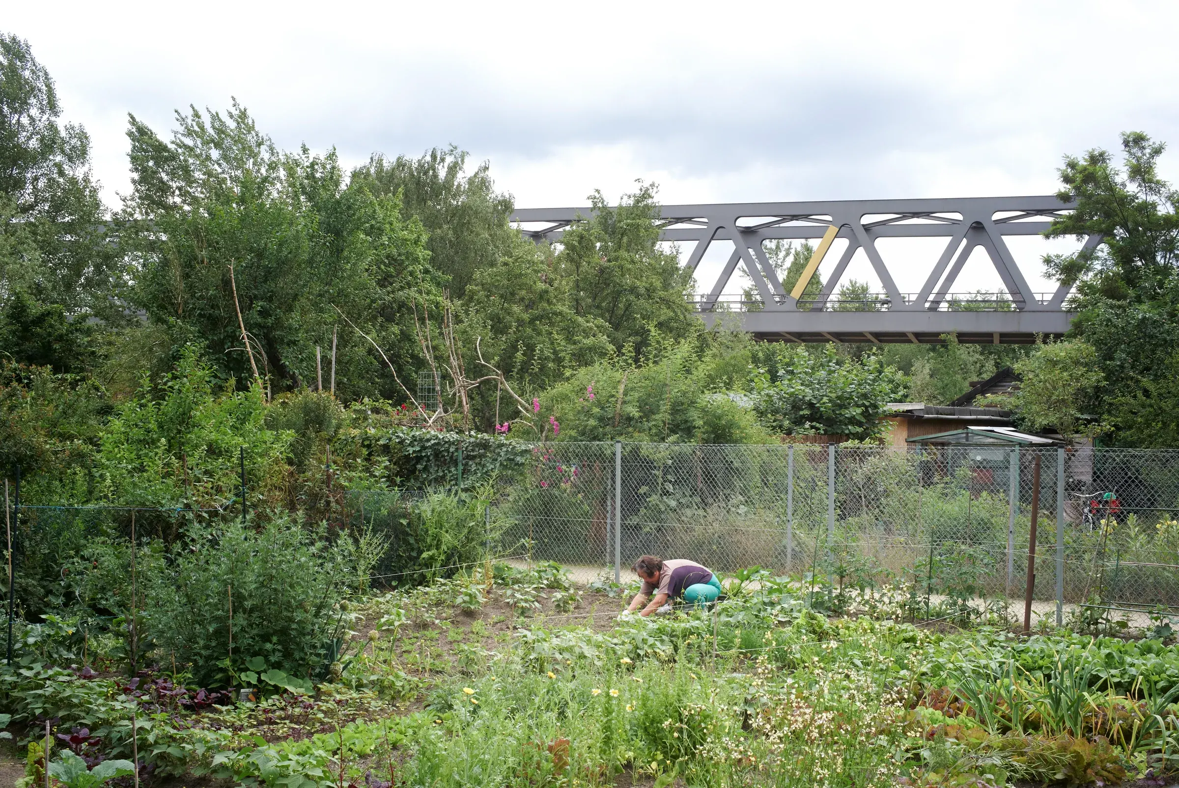 Open lawn and young trees at Park am Gleisdreieck in Berlin, with railway traces visible, Photography Julien Lanoo