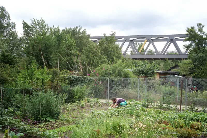 Open lawn and young trees at Park am Gleisdreieck in Berlin, with railway traces visible, Photography Julien Lanoo