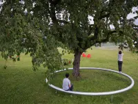 Circular Ring bench around a tree at the Vitra Campus in Weil am Rhein, Germany