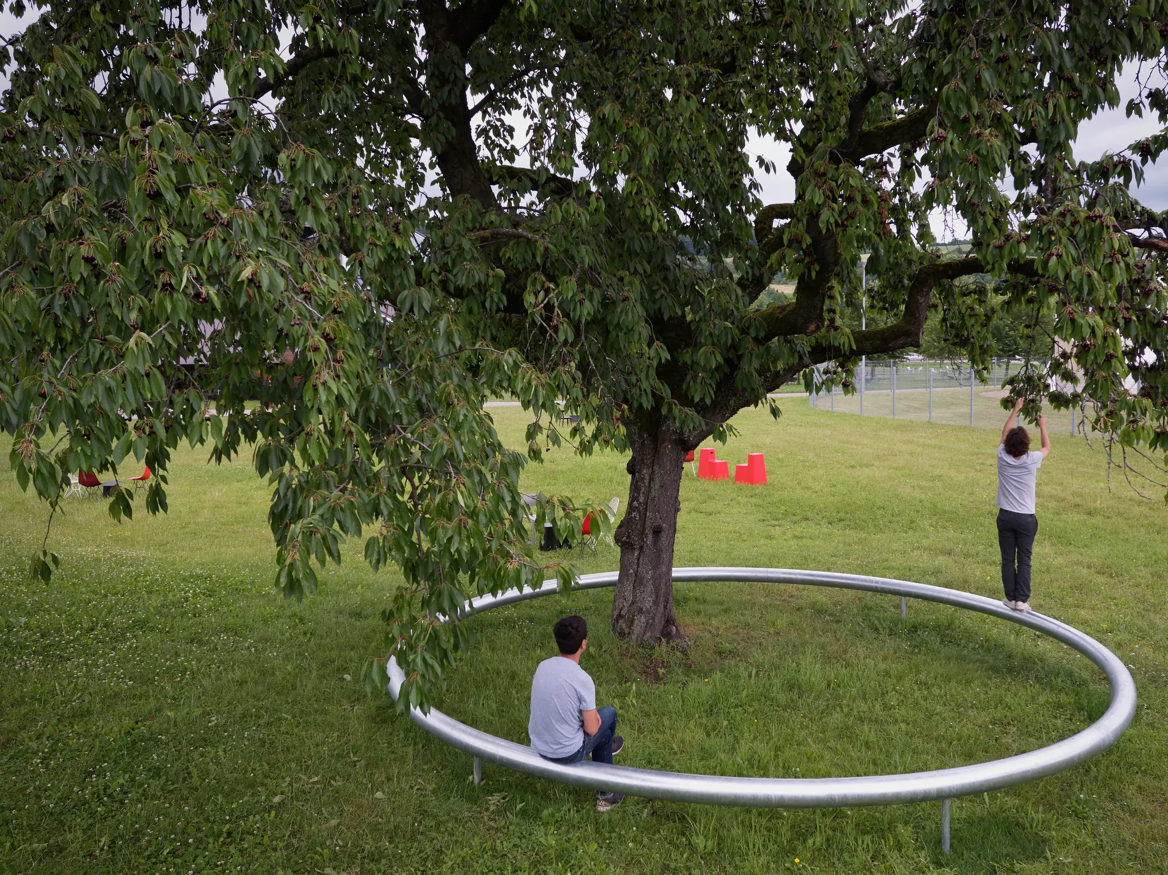 Circular Ring bench around a tree at the Vitra Campus in Weil am Rhein, Germany