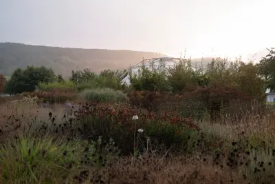 Vitra Oudolf Garden in Weil am Rhein, Germany, with layered perennial planting and grasses, Photography Julien Lanoo